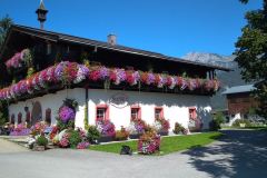 IMG_20200807_105533