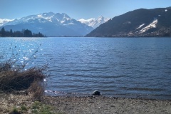 saalbach2