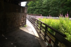 IMG_20220709_122841