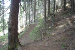 areitalm5
