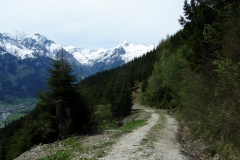 areitalm9