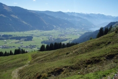 bergg6
