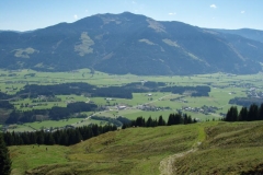 bergg8