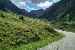cervenec3