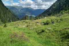 cervenec4