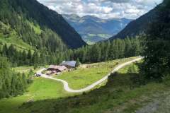 cervenec5