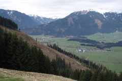 gerling1