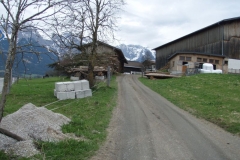 gerling10