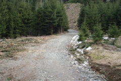 gerling3