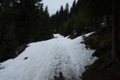 gerling4