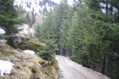 gerling5