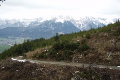 gerling6