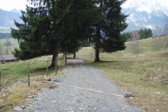 gerling7