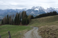 gerling8