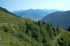 alm5