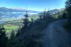 hundstein38 hundstein38