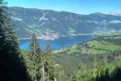 hundstein41 hundstein41
