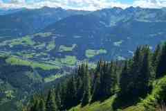 hundstein1