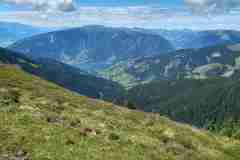 hundstein10