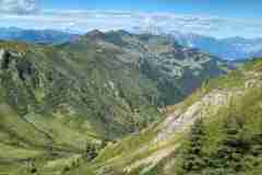 hundstein12