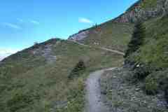 hundstein13
