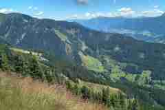 hundstein2