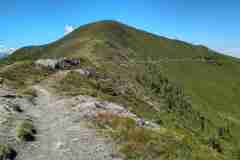 hundstein29