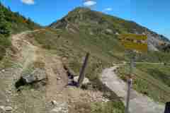 hundstein30