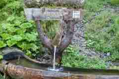 hundstein37