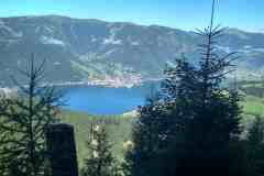 hundstein39