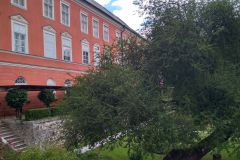kamenice14