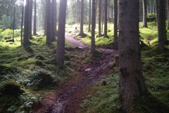 kaprun3