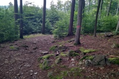 kremesnik2