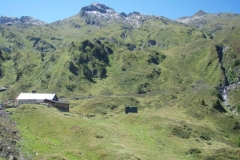 kitz8
