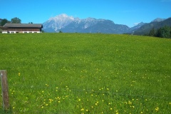 IMG_20200708_100725