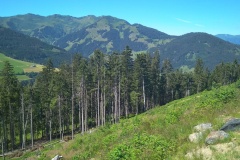 IMG_20200708_105837