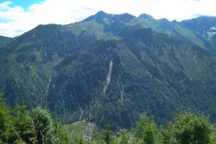 IMG_20200704_120252