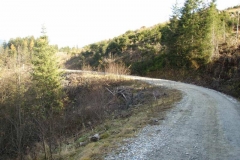 moosl4