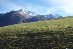 moosl8