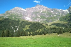 IMG_20220725_094608