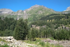 IMG_20220725_101321