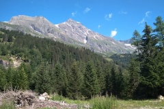 IMG_20220725_101325