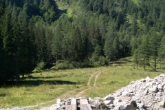 IMG_20220725_101718