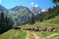 IMG_20220725_103009