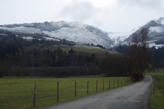 nieder1