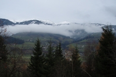nieder2