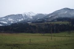 nieder6