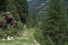 prehrada7