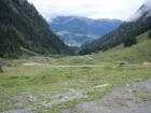 schau
