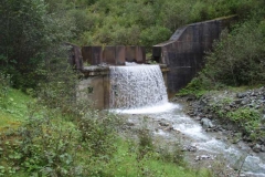 schau1